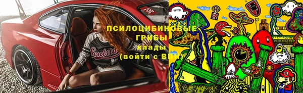 jwh Богородицк