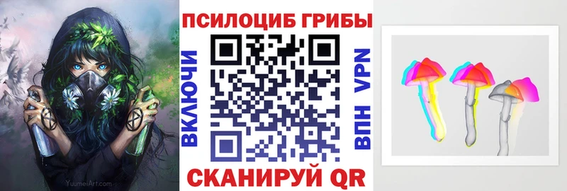 что такое наркотик Пестово Псилоцибиновые грибы мицелий